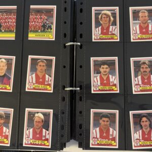 KSV Waregem Panini football 1993/1994 17 stickers panini 'compleet'